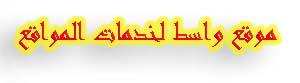 موقع واسط لخدمات الانترنت و تصميم المواقع