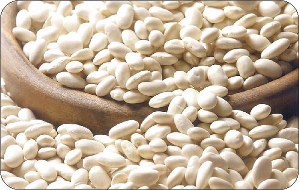 طيبه للاستيراد والتصدير والتقل البري ابو طيبه المصري